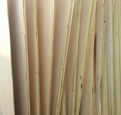 product-245-234