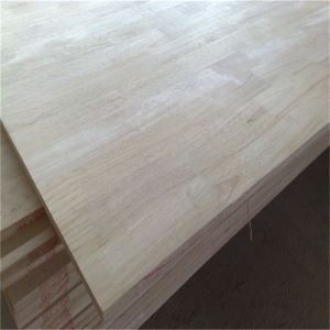 Lembaga Pengarah Jari Bersama Finger